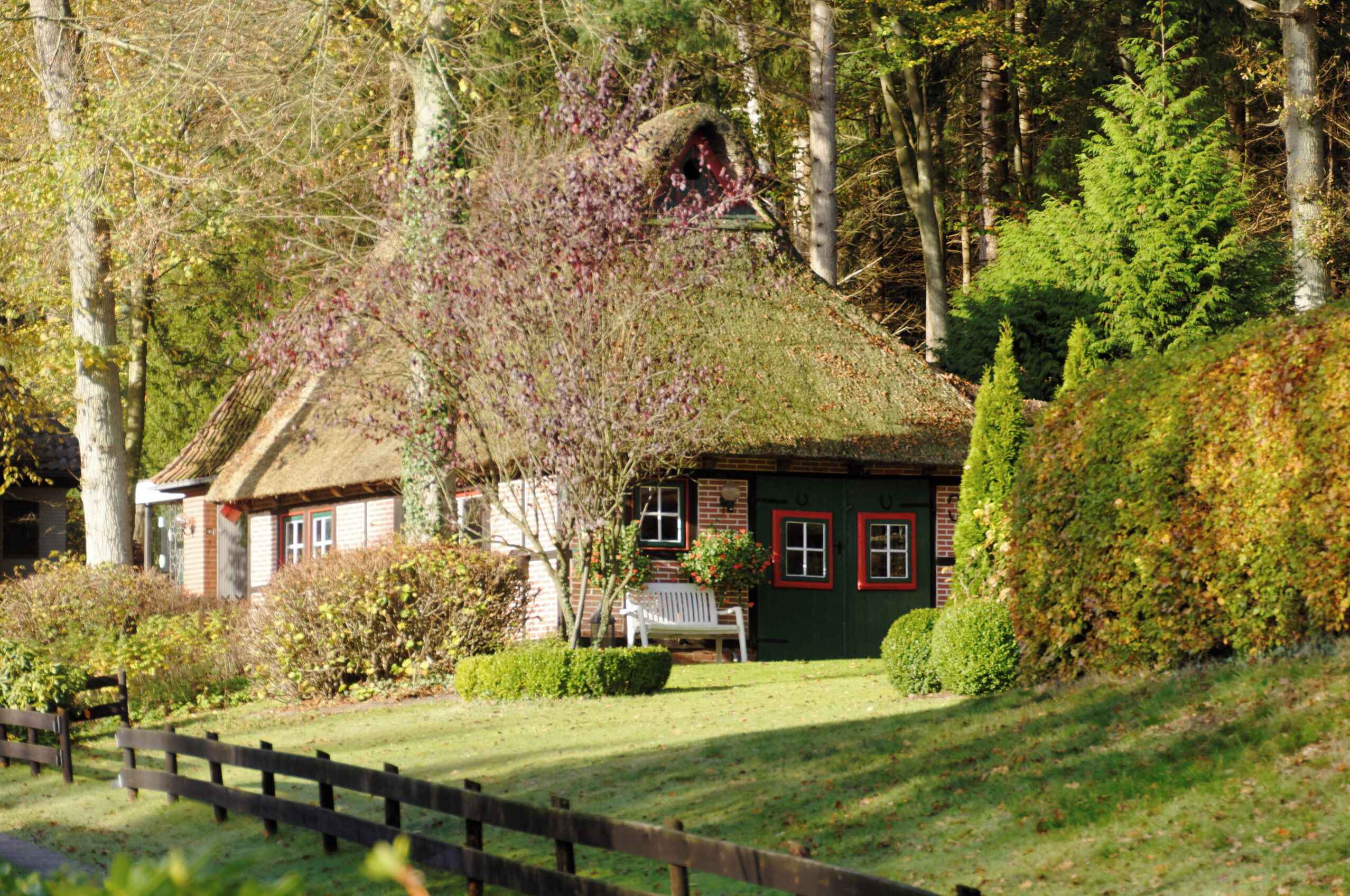 Bildermix vom Lightroomkurs 2014 in der Wingst