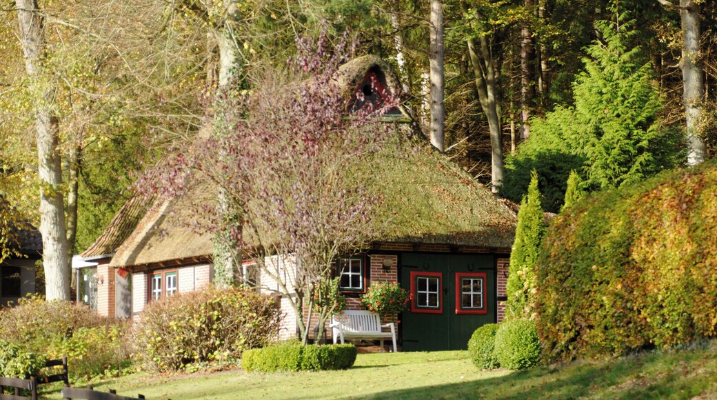 Bildermix vom Lightroomkurs 2014 in der Wingst