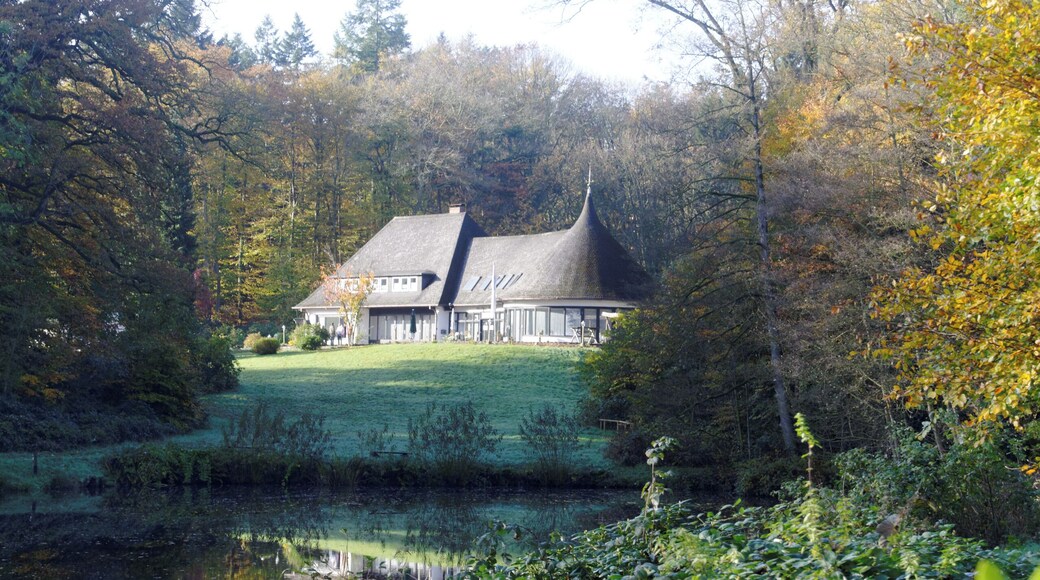 Bildermix vom Lightroomkurs 2014 in der Wingst