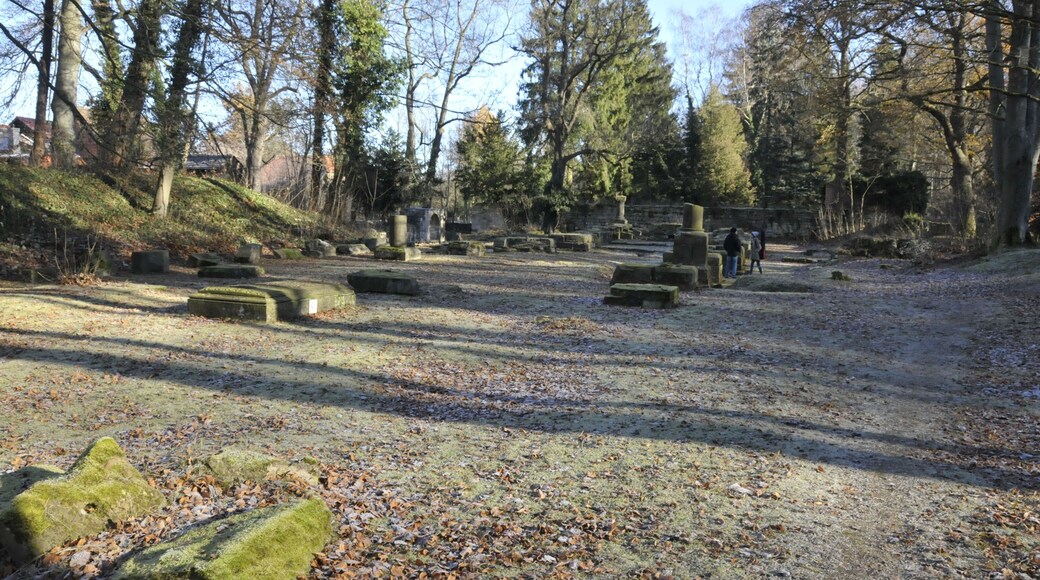 Kloster Georgenthal, Grabungsbefunde