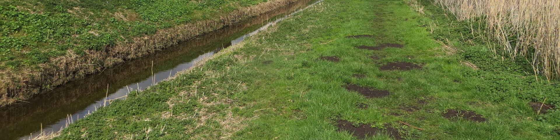 Holme Lode looking eastwards - April 2016