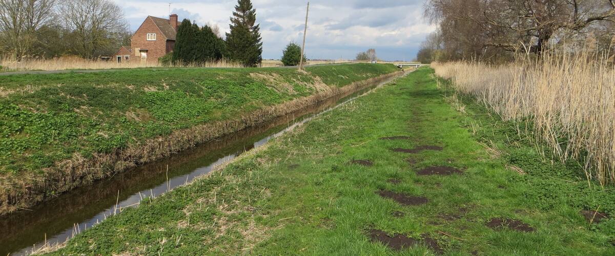 A narrow canal with a grassy bank, a brick house, and trees in a rural landscape.