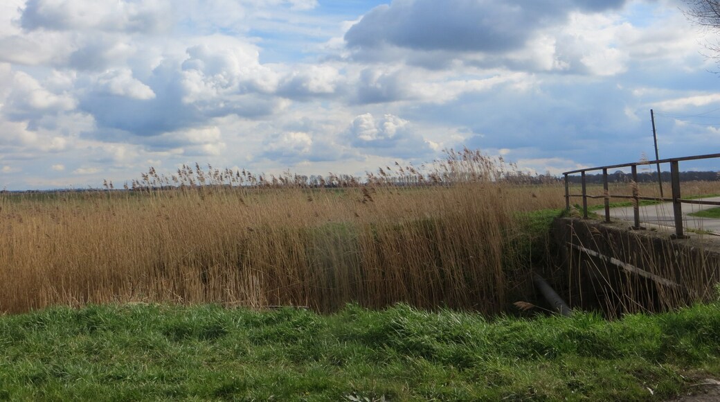 Classic fen country - near Holme Fen - April 2016