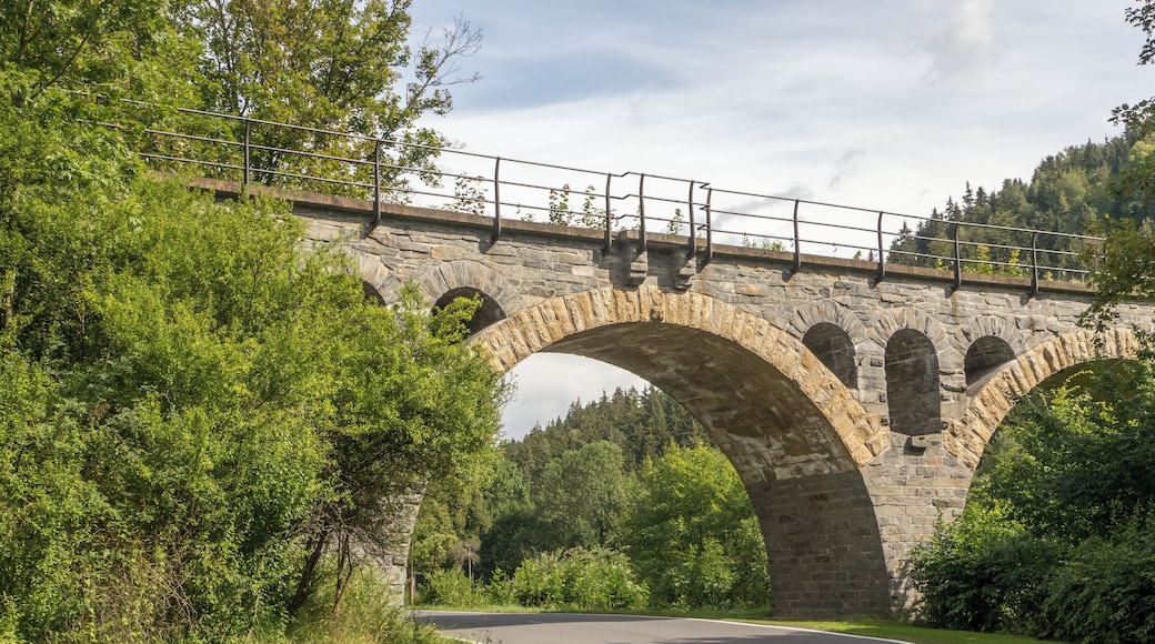 Railway viaduct across the river Saale in ZiegenrĂŒck in Thuringia