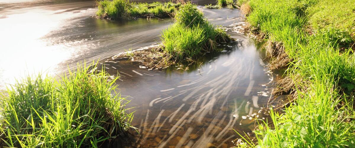 One of the most important rivers in the German federal state Thuringia is the Saale river, sourced in Northern Bavaria and flowing into the Elb river near Magdeburg. For the Thuringian Highlands in the early 19th century it was the root of many floods, but also sometimes ran dry in summer. This resulted in the build of the Bleiloch dam near Saalburg, damming up the largest water volume in Germany. In the 1950's (GDR) another Saale dam in Thuringia was build (Hohenwarte) for producing hydro-electric energy for the steel industry (Maxhütte) in Saalfeld/Unterwellenborn. So the Saale gets dammed up two times and in between of those two dams, the nice little town of Ziegenrück is placed and starting point for motor-boating or water sports activity.