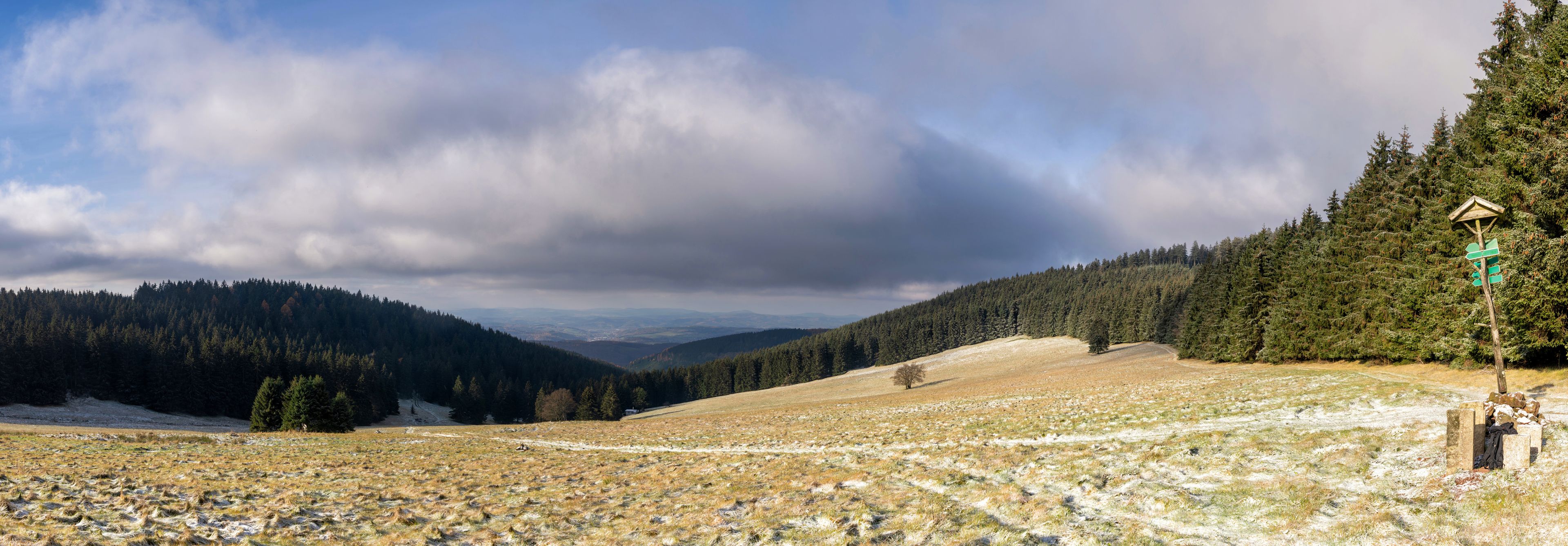 Ett bergigt landskap med klar himmel, ett snötäckt fält och en tät skog.