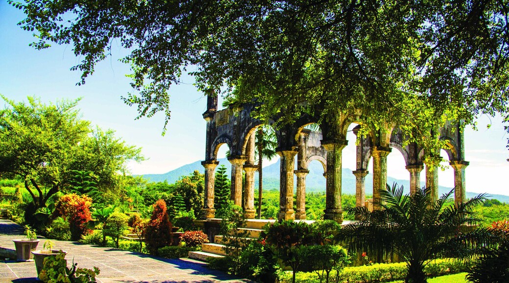 A silence morning in a garden