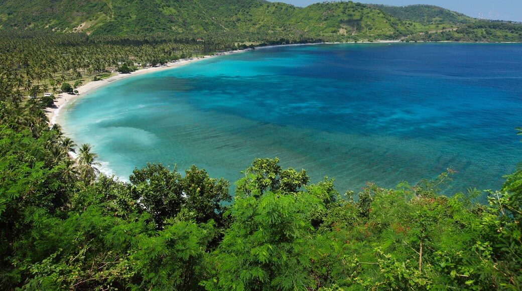 Tropical calm lagoon with palm trees among a coast at sunny day. Lombok island, Indonesia