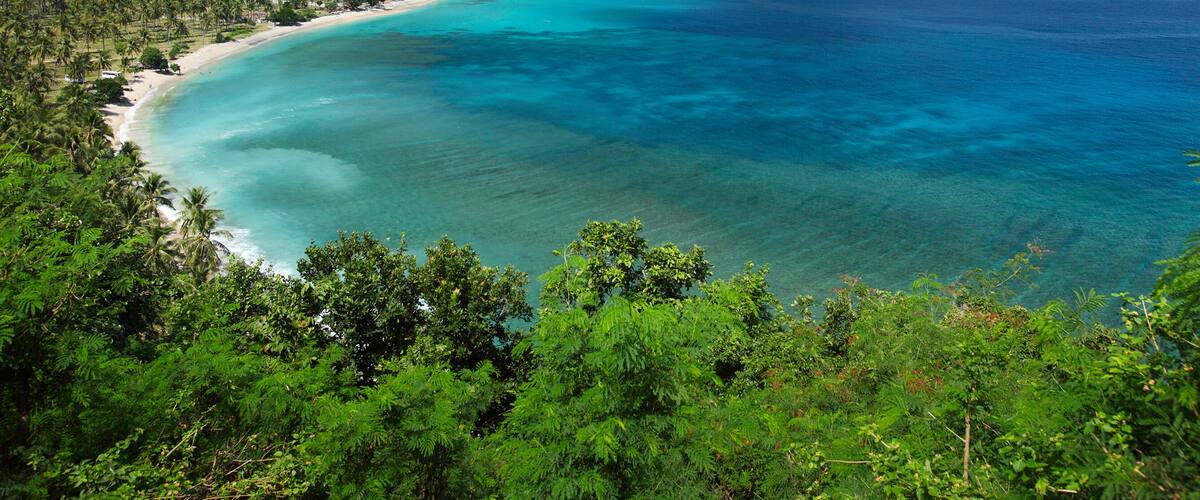 A tropical beach with clear turquoise waters, surrounded by lush green hills and dense palm trees.