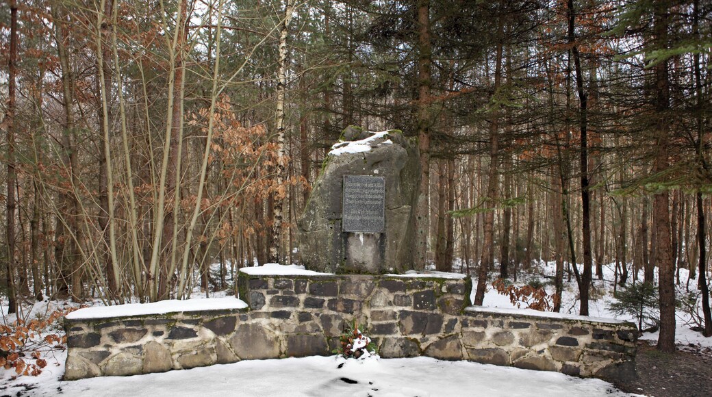 Denkmal fĂŒr zwanzig am 11. Mai 1942 gehĂ€ngte polnische HĂ€ftlinge im Wald an der StraĂe von Poppenhausen nach Einöd, Landkreis Hildburghausen