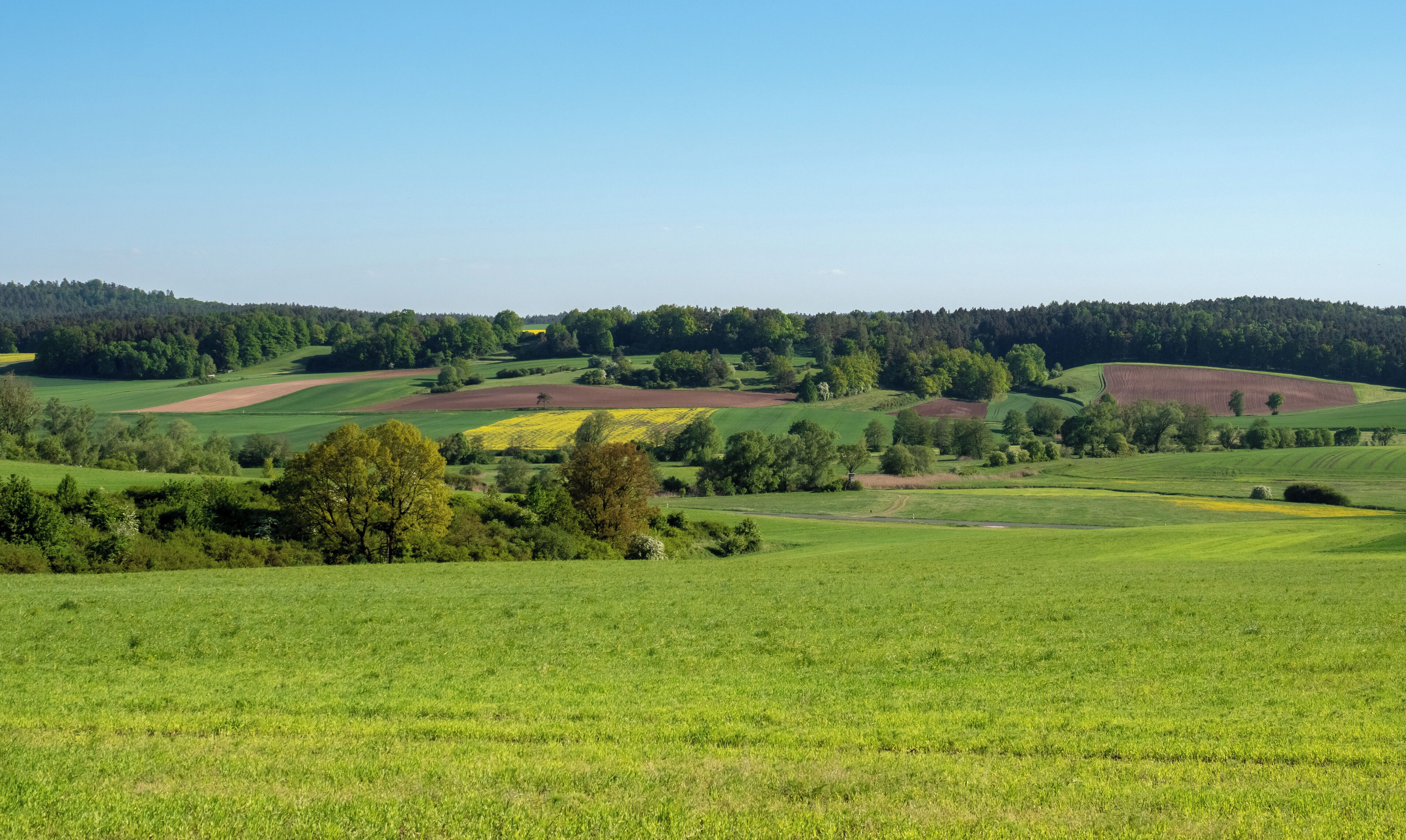 Althellinger Grund and Kreckaue in the area of the former inner German border
