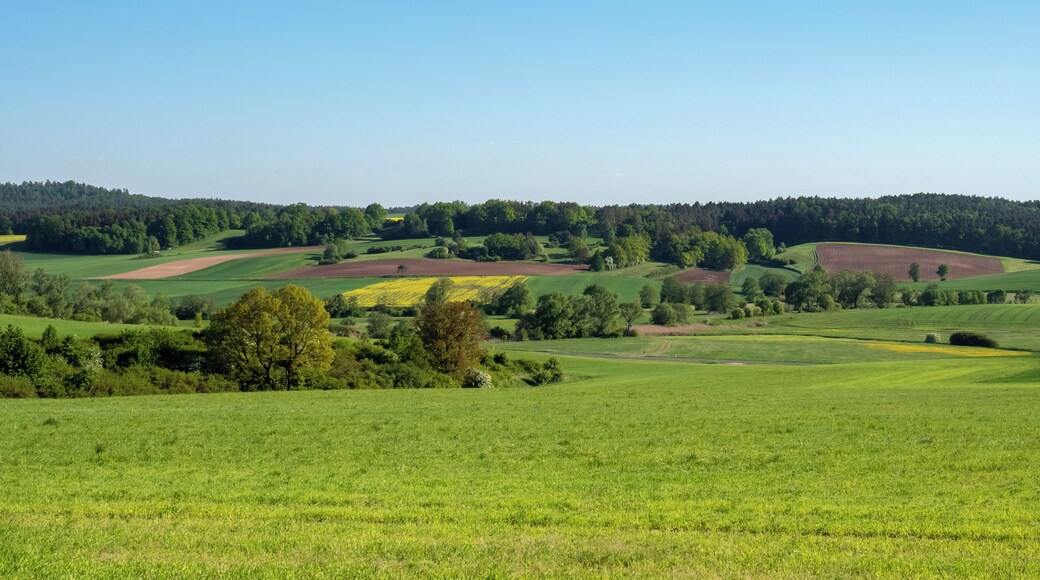 Althellinger Grund and Kreckaue in the area of the former inner German border