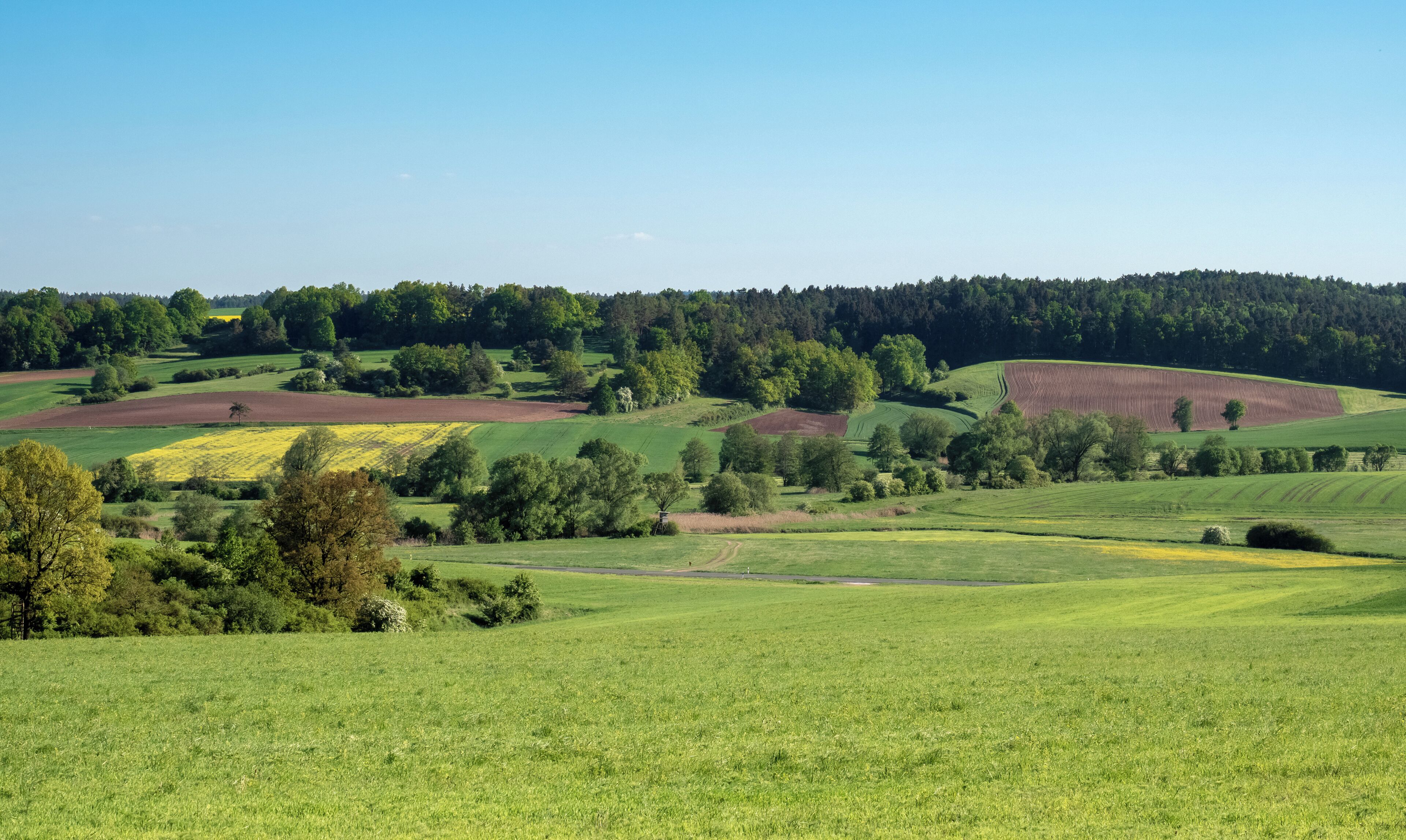 Althellinger Grund and Kreckaue in the area of the former inner German border