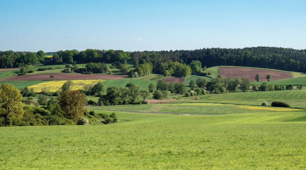 Althellinger Grund and Kreckaue in the area of the former inner German border