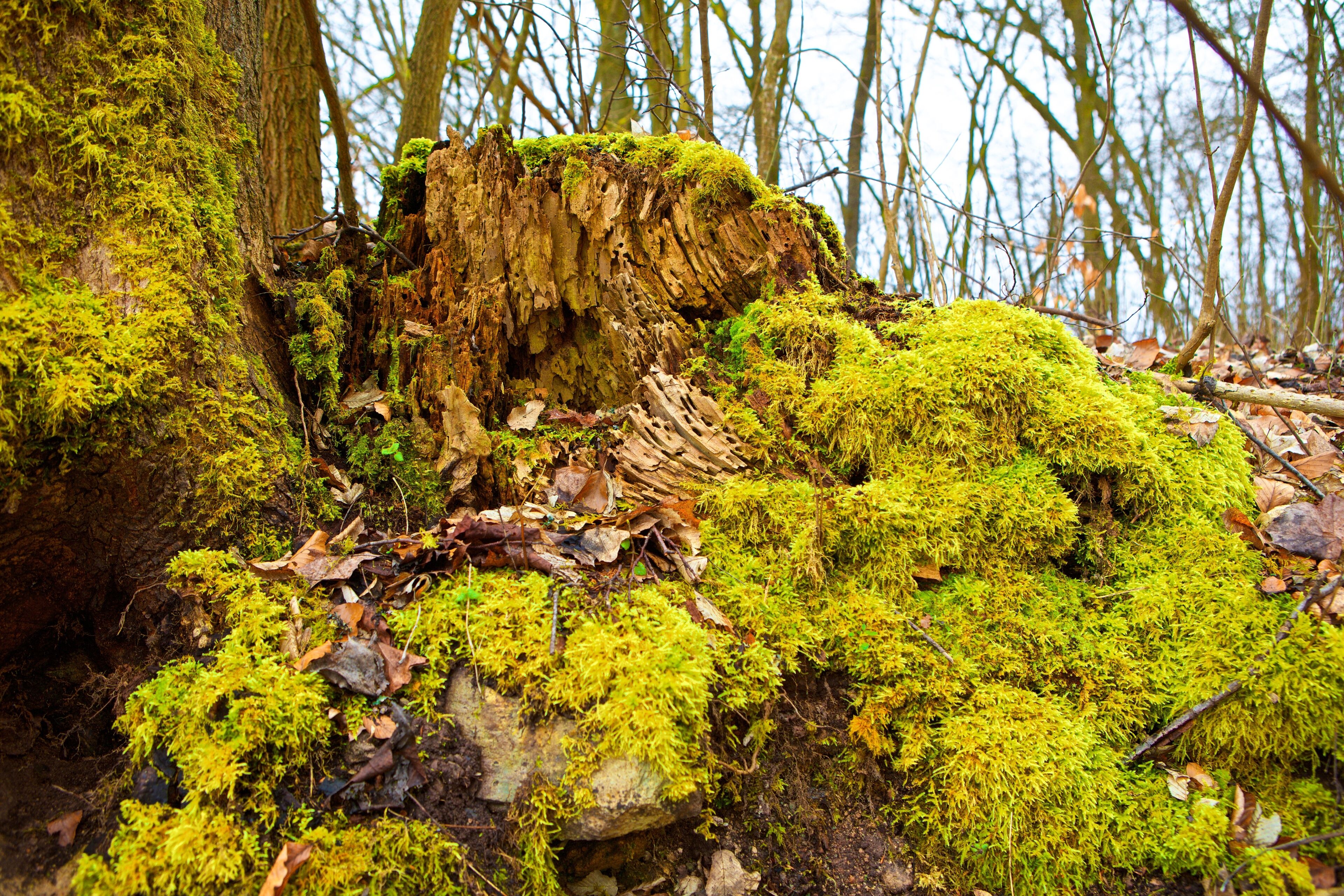Weg zur Veste Heldburg