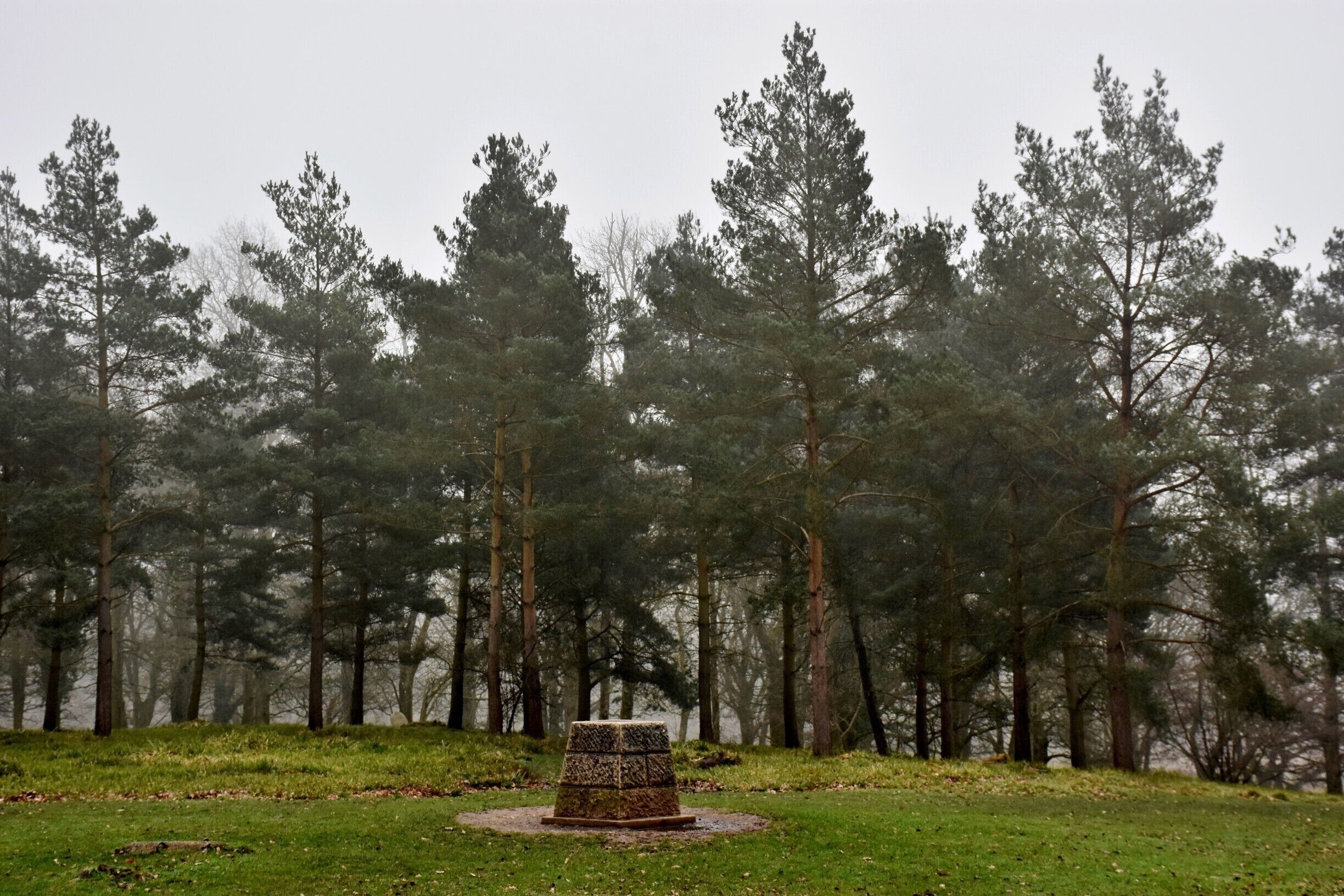 Badbury Rings is an Iron Age hill fort in east Dorset, England. It was in the territory of the Durotriges. In the Roman era a temple was located immediately west of the fort, and there was a Romano-British town known as Vindocladia a short distance to the south-west