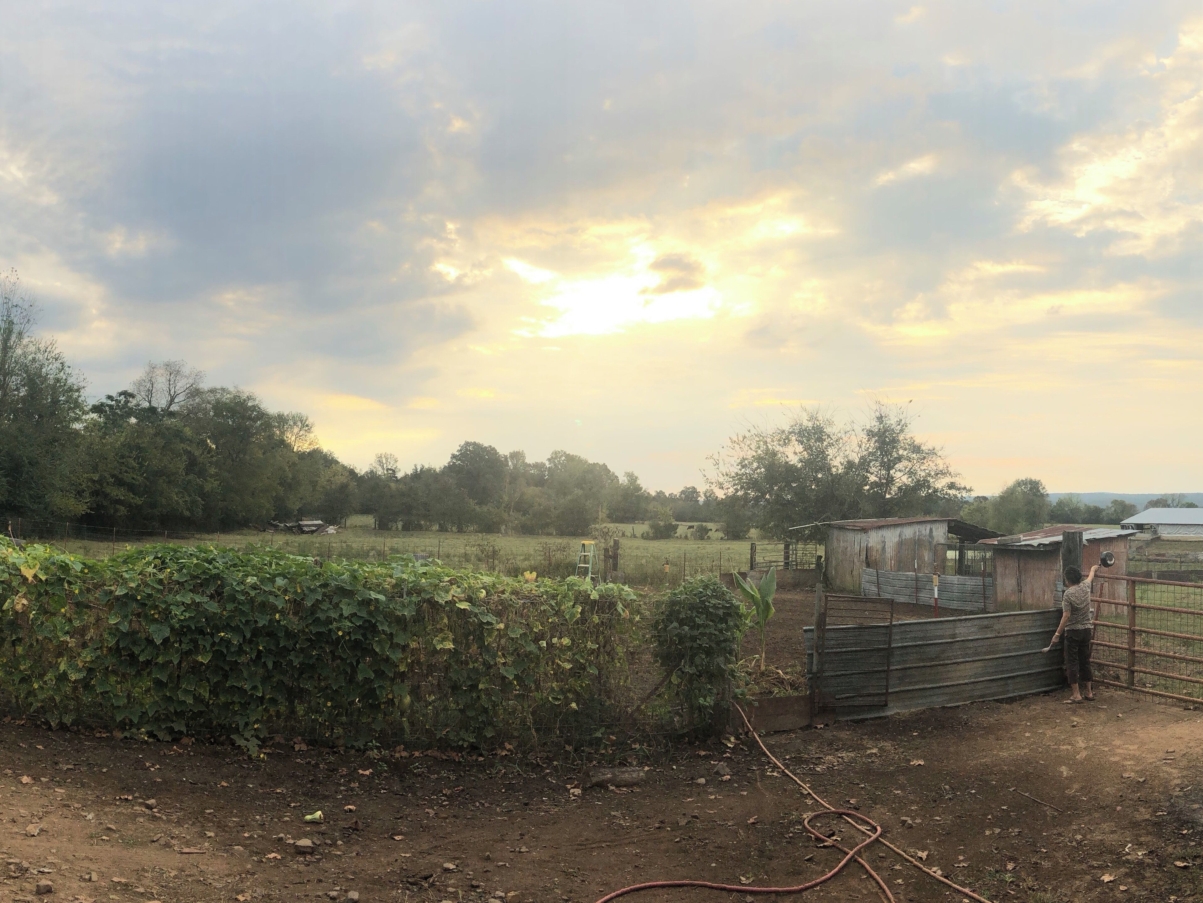 A rural landscape with a field, a wooden structure, and a fence.