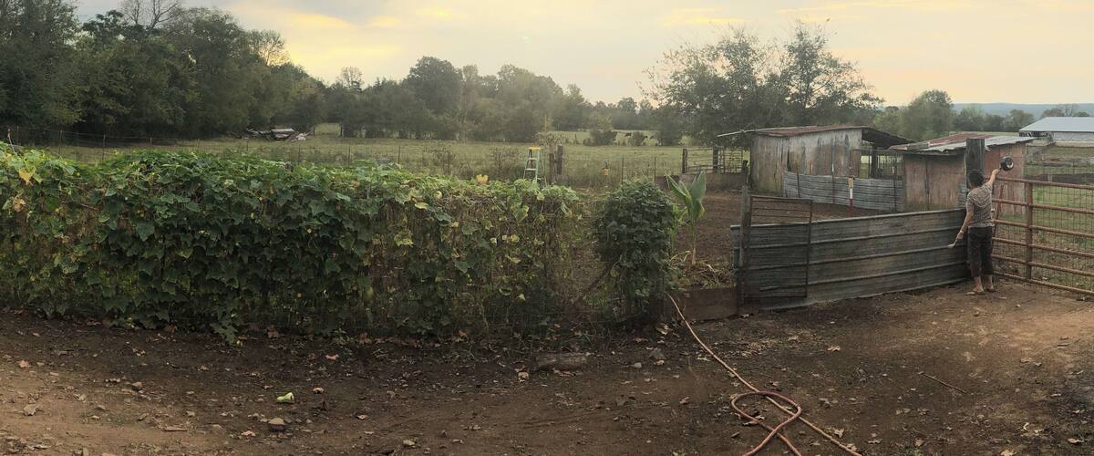 A rural landscape with a field, a wooden structure, and a fence.
