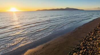 Raumati South