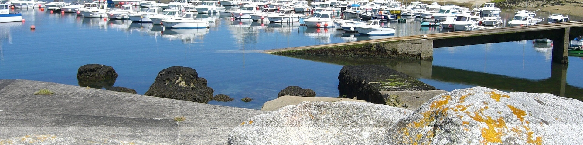 A marina with numerous boats docked, rocky shore, and houses in the background.