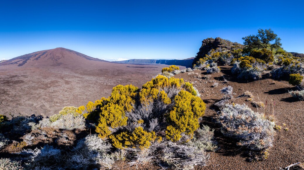 Saint-Benoît arrondissementet