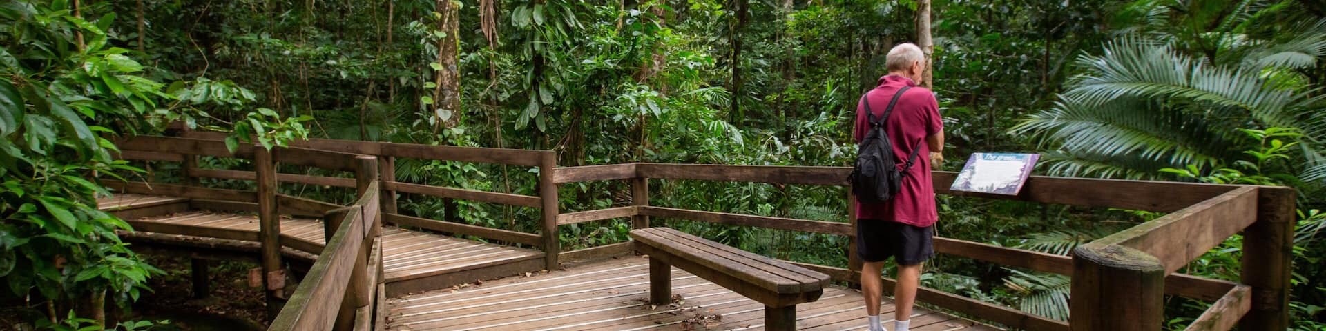 Un muelle de madera con bancos rodeado de densa vegetación tropical.