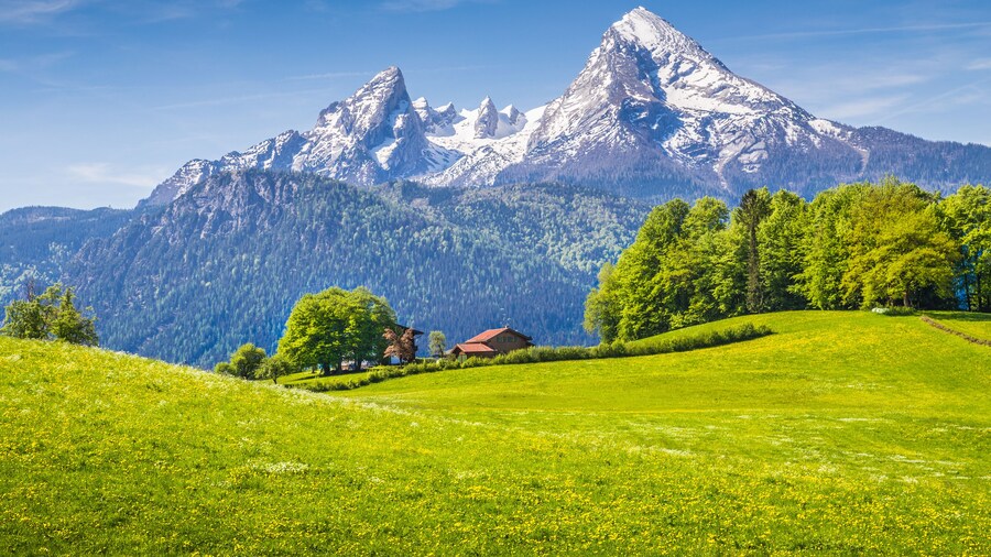 Idyllic landscape in the Alps with fresh green meadows and blooming flowers and snowcapped mountain tops in the background, Nationalpark Berchtesgadener Land, Bavaria, Germany; Shutterstock ID 2939882
