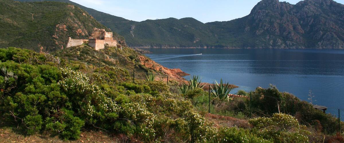 Osani ( Corse-du-Sud) - France, la forteresse génoise et le Golfe de Girolata.