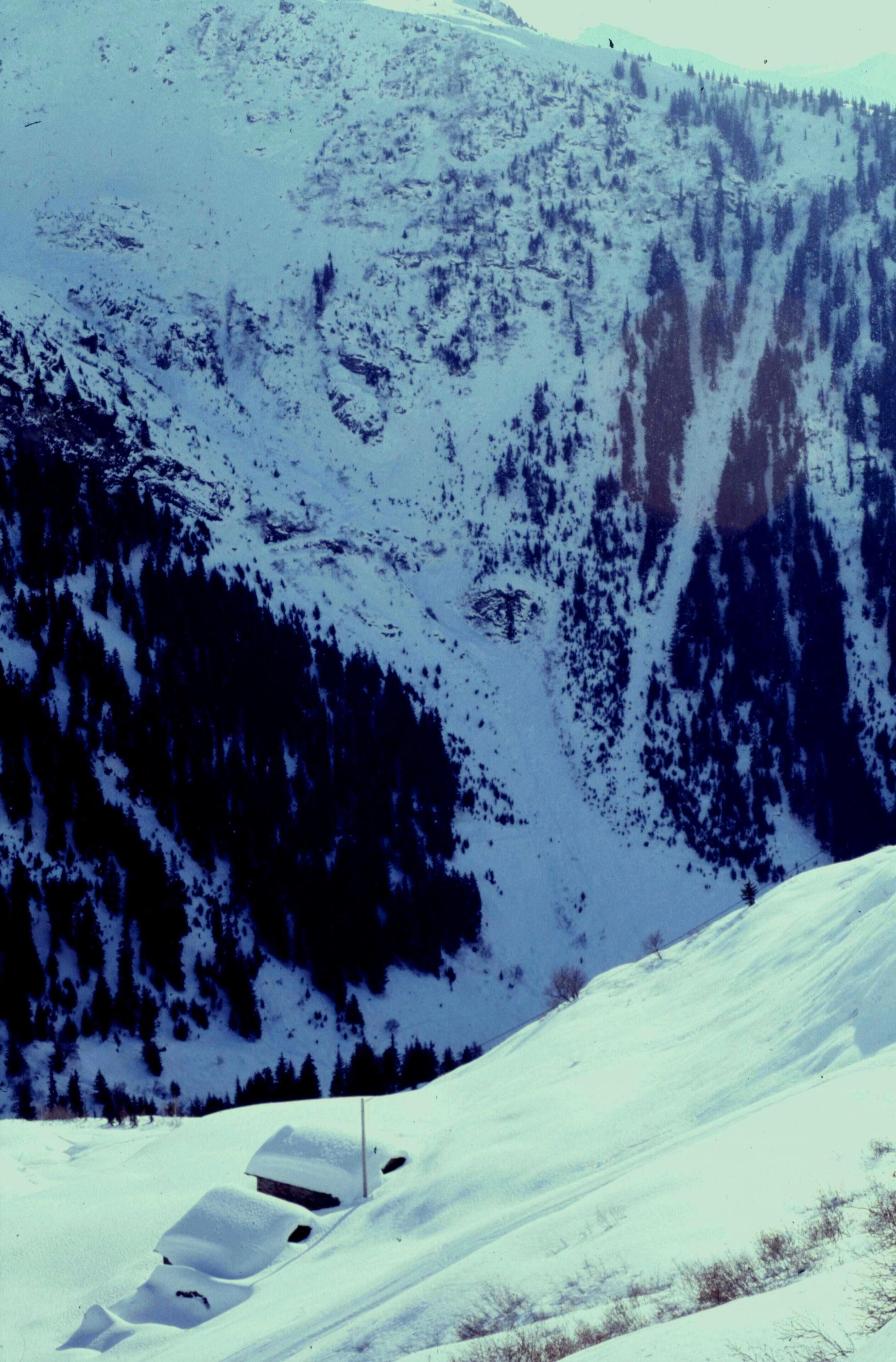 A snow-covered mountain with a ski lift and trees.