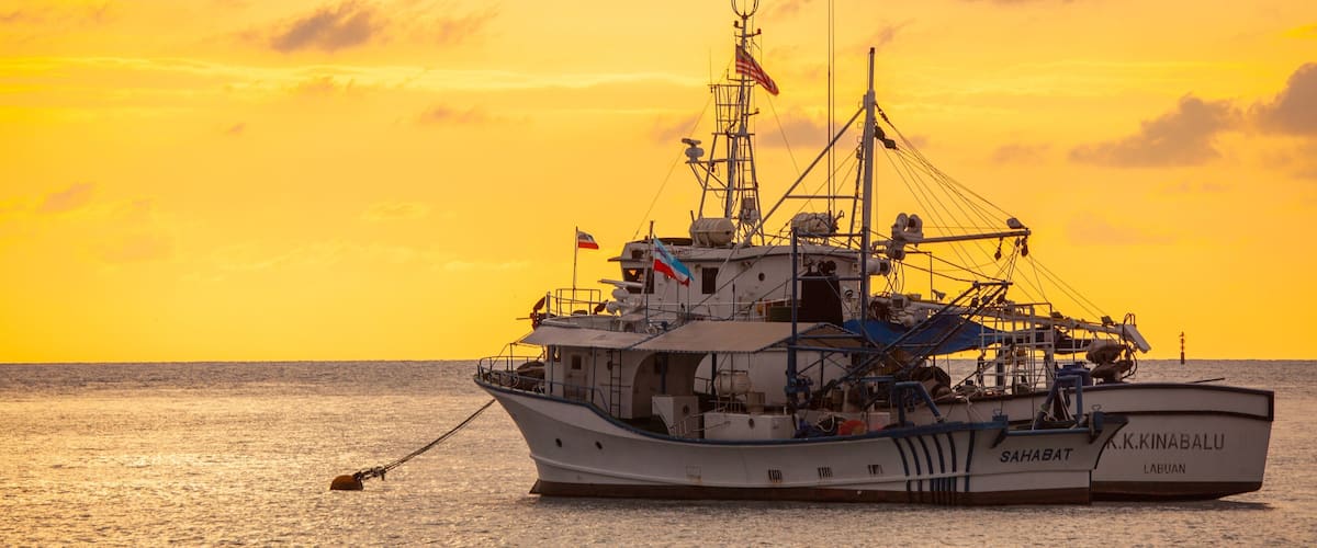 Kota Kinabalu Waterfront showing general coastal views, boating and a sunset