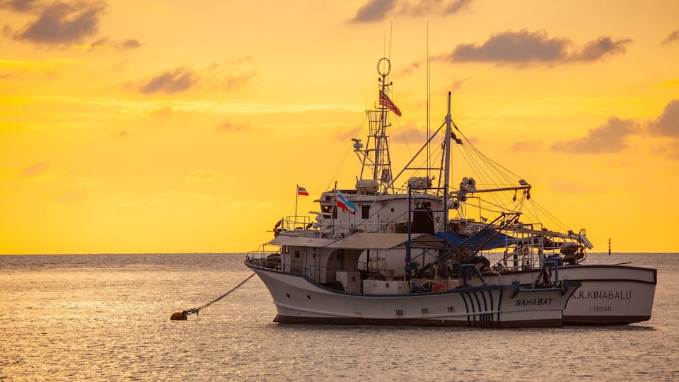 Kota Kinabalu Waterfront showing general coastal views, boating and a sunset