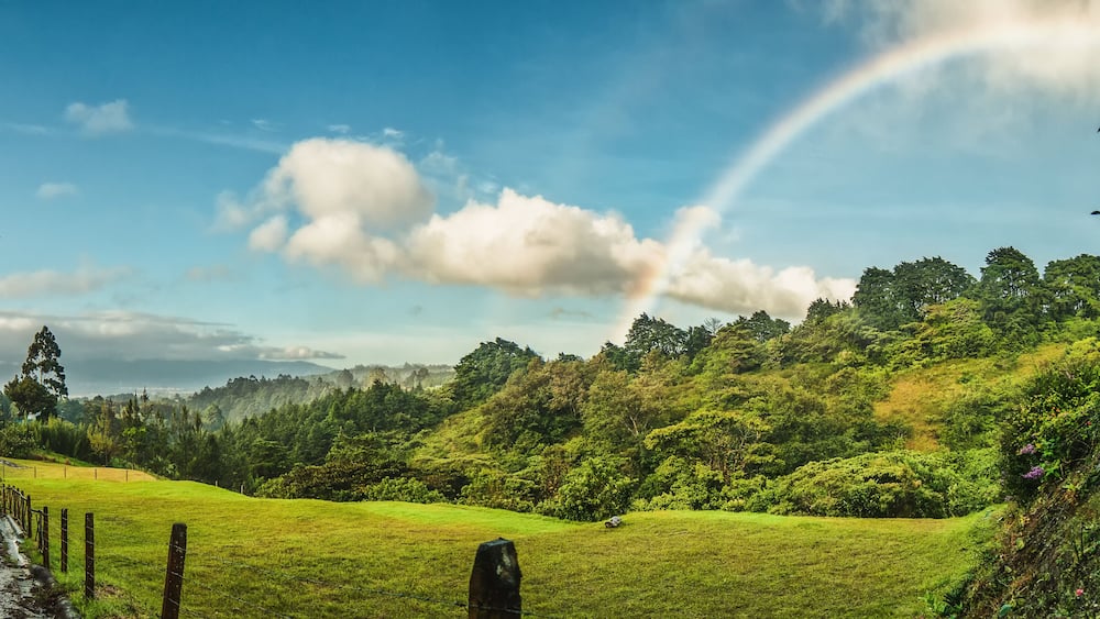Rainbow at the side of the road