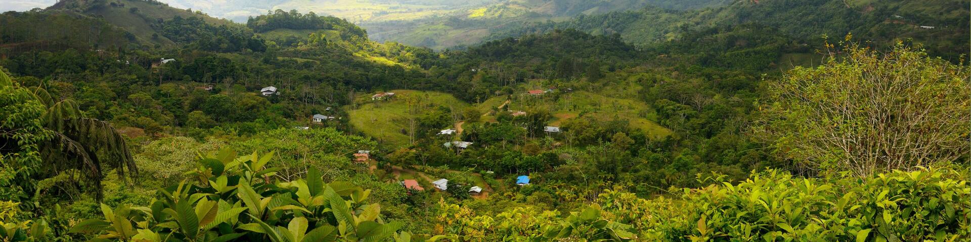 A lush green valley with scattered houses and dense foliage.