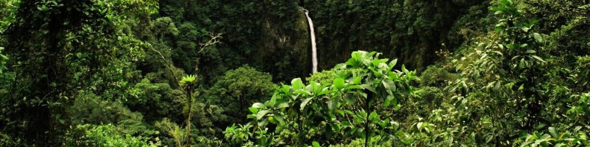 The stunning Catarata Waterfalls in the jungles surrounding La Fortuna, Costa Rica. This is the view from the entrance but if you walk down to the bottom (via staircase) you can actually go swimming in the pool below!