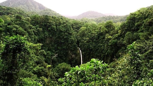 The stunning Catarata Waterfalls in the jungles surrounding La Fortuna, Costa Rica. This is the view from the entrance but if you walk down to the bottom (via staircase) you can actually go swimming in the pool below!