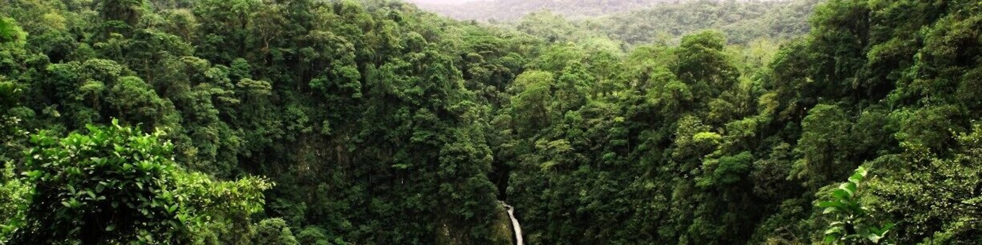 The stunning Catarata Waterfalls in the jungles surrounding La Fortuna, Costa Rica. This is the view from the entrance but if you walk down to the bottom (via staircase) you can actually go swimming in the pool below!