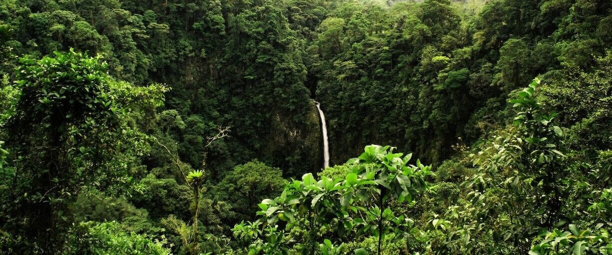 A lush green valley with dense forest and a waterfall.