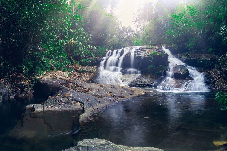 Una cascata in una zona boschiva con acque cristalline che scorrono su rocce.