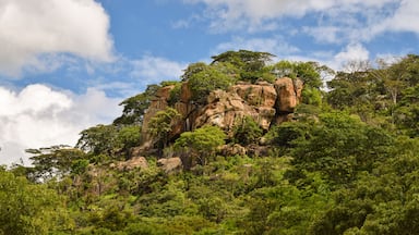 A rocky hill with dense green foliage and a clear blue sky with clouds.