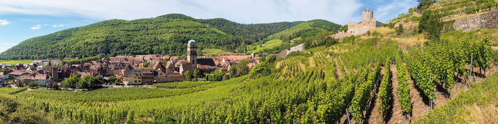 Castle against the backdrop of vineyards in the city of Kaysersberg