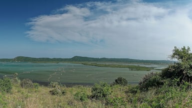 Traditionelle Fischreusen in der Kosi Bay, iSimangaliso Wetland Park, KwaZulu Natal, Südafrika