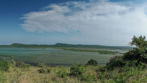 Traditionelle Fischreusen in der Kosi Bay, iSimangaliso Wetland Park, KwaZulu Natal, Südafrika