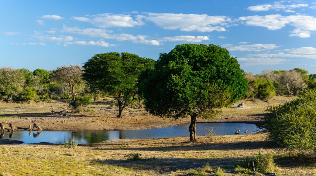 烏姆拉比亞林哈納