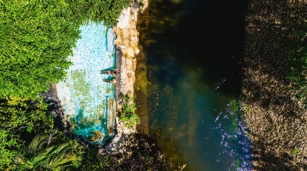 Surrounded by lush greenery, two individuals enjoy a peaceful moment by a pool that flows into a calm river. The vibrant colors of nature create a perfect tropical retreat for relaxation in Thailand