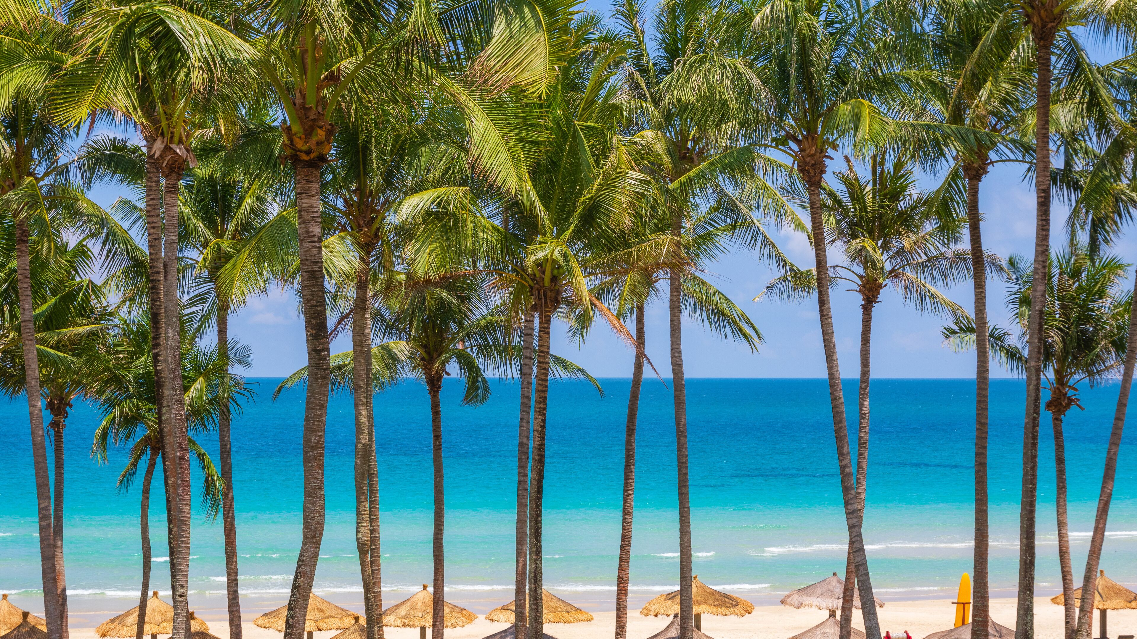 Tropical beach with palm trees at Bintan Island, Indonesia