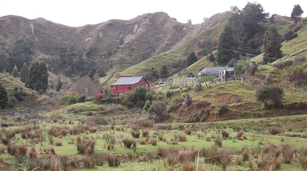 Nice little farm. It is on Route 43. On the way to Whangamomona