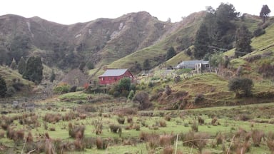 Nice little farm. It is on Route 43. On the way to Whangamomona