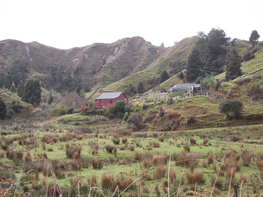 Nice little farm. It is on Route 43. On the way to Whangamomona