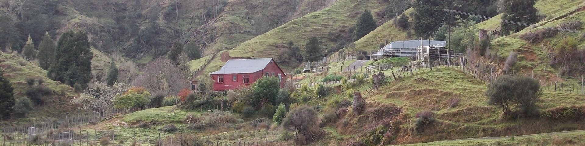 Nice little farm. It is on Route 43. On the way to Whangamomona