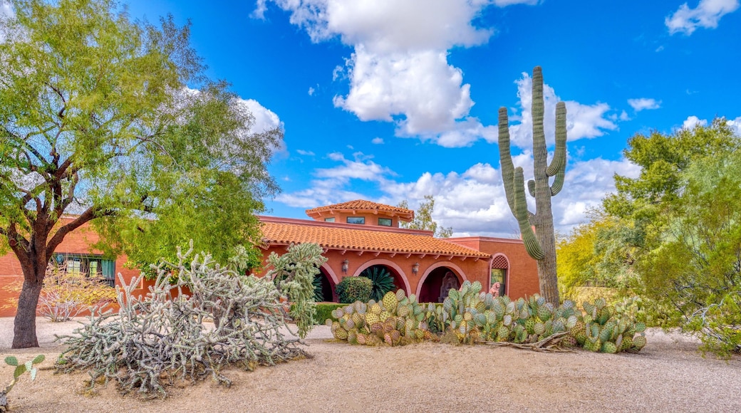 Complejo deportivo Cactus Yards